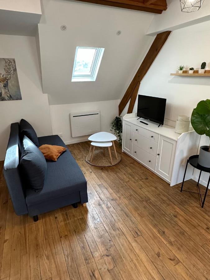 Superbe Appartement Mansarde Avec Mezzanine - Proche Centre Ville, Thermes, Aquensis Bagnères-de-Bigorre Eksteriør bilde